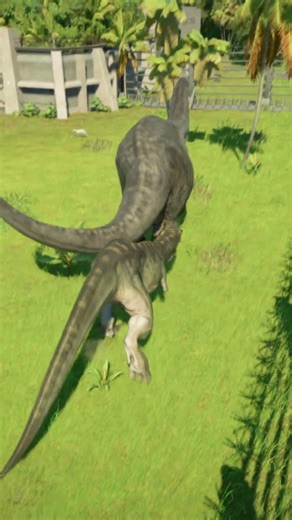 Trex Bull VS Brontosaurus #jurassicworld #dinosaur #jurassicpark #Imeroleplay #jwe2