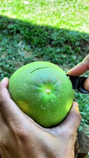 Pomelo Fruit