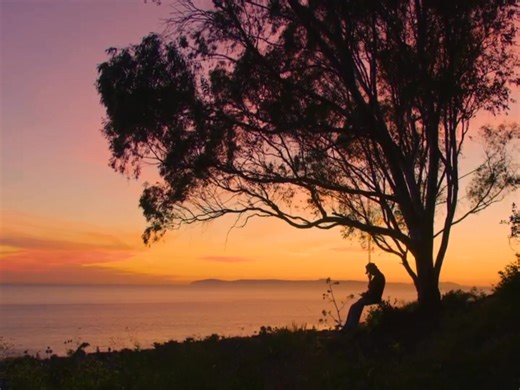 Loneliness is beautiful. | I only simp for my lover