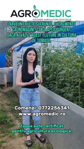 105K views · 595 reactions | Larve în fructe și frunze, excremente ca în imagini? Ce să aplici URGENT dacă ai văzut acest fluture în cultura de tomate #fluture #larvetomate #tutaabsoluta #moliatomatelor #agromedicro | Agromedic.ro | Facebook