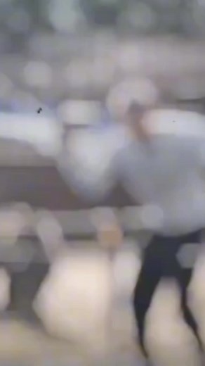 面白いTwitterコメントの集め方