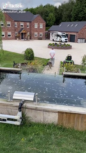 When one pond just isnt enough, build another… @A1koi Auctions #fyp #foryoupage #evolutionaqua #koipond #koi #pond #japanesekoipond #japanesekoi #stergeon
