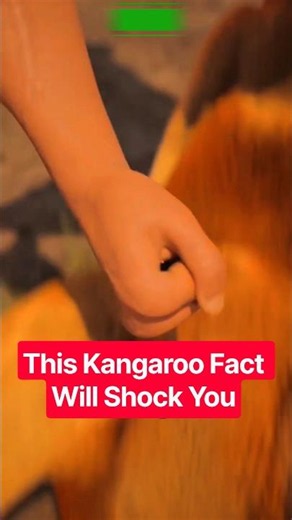 This Kangaroo Fact Will Shock You #facts