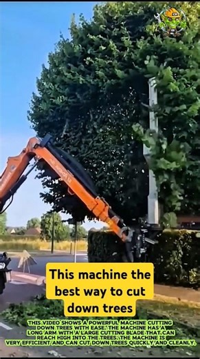 The best machine to cut down trees- Good tools and machinery can increase work efficiency