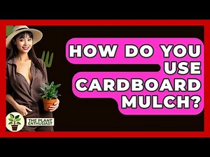 How Do You Use Cardboard Mulch? - The Plant Enthusiast