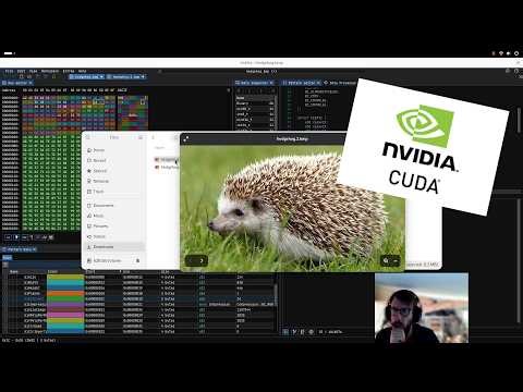 Cuda Dev "Hello World"
