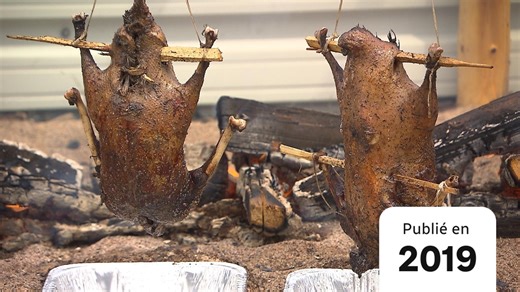 S’affirmer par l'alimentation traditionnelle autochtone