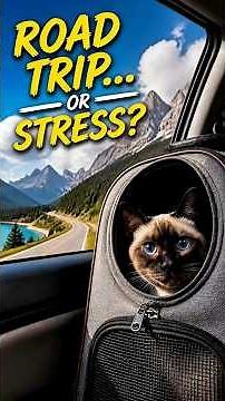 Before You Travel With Your Cat... Watch This! 🚗 #catlife #cattravels