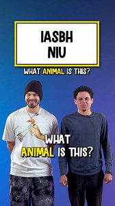 🦡 What Animal Is This? 17 🧠 Follow If You Like To Think! | Hanging Out