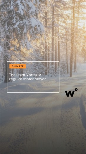 Weatherology | The polar vortex works hand-in-hand with the jet stream, shaping winter temperatures across the Northern Hemisphere. When the jet stream... | Instagram