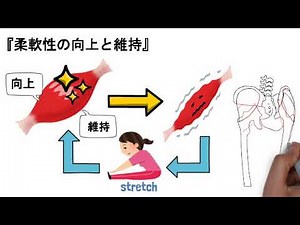 ストレッチの３つの効果とメリット