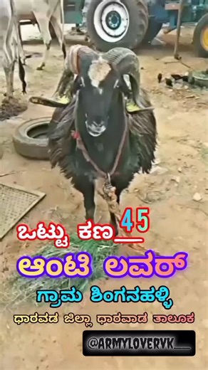 ಬೆಳ್ಳೂಡಿ ಕಾಳಿ on Instagram: "ನಿಮಗೂ ಈ ತರ ವಿಡಿಯೋ ಬೇಕಾದ್ರೆ ಫಾಲೋ ಮಾಡಿ . . . . #belludikaali❤️ #belludikali #davangere #harihara #bengaluru bagalkot konnur sheep sheepskingloves uttarakarnataka karnataka kannada mysore kannadamemes bangalore kannadamusically shivamogga chitradurga davanagere gulbarga uttarakannada bengaluru bagalkot kannadiga belagavi tumkur banglore ballari"