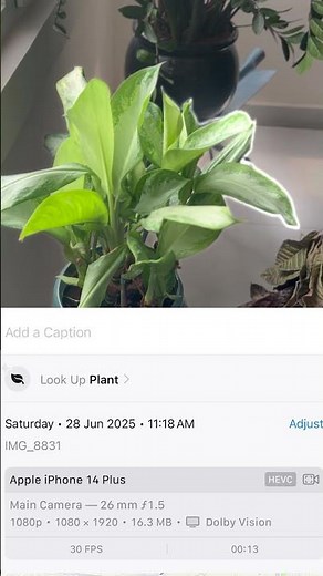 How to Export Cinematic Mode Videos from iPhone to Mac — Step-by-Step Guide