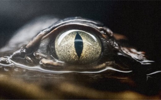 Joji - Glimpse Of Us (Official Video)