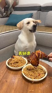 What can you say or learn from this video? #dogs #doglover #oct19pmgodblessafriconte | Abosede Babs Kem