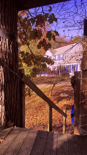 #fyp #fypシ #do5 #daddyofive