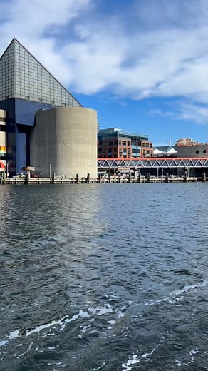 We ❤️ you, Baltimore. | National Aquarium