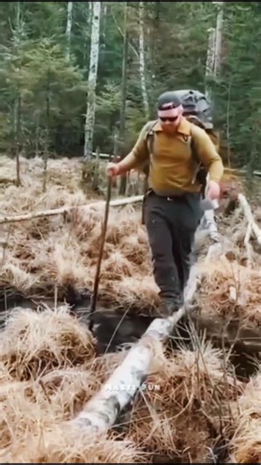 Try Not To Laugh 🤣 | Funny shorts | Epic Fails |#shorts #funny #fails #comedy Part-102 | Masti Fun