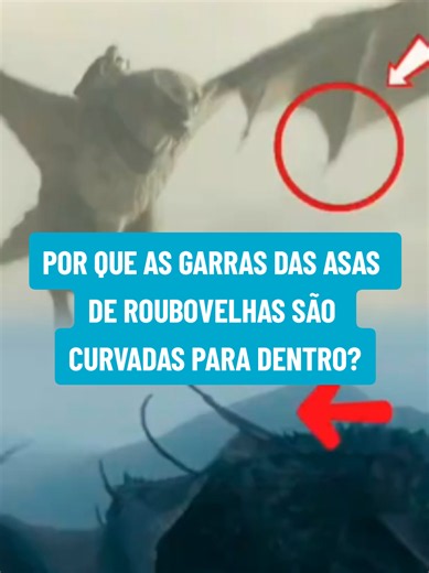 Por que as garras das asas de Roubovelhas são curvadas para dentro?