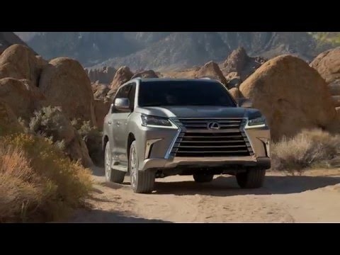 Multi-Terrain Monitor