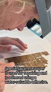 For over 3,000 years, papyrus was the dominant writing material in...