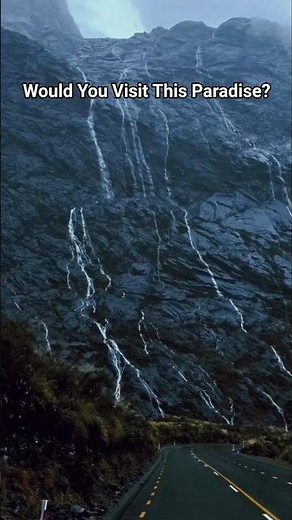 You Won't Believe This Place in Milford Sound, New Zealand