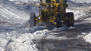 Can snow kill bugs? We asked an expert