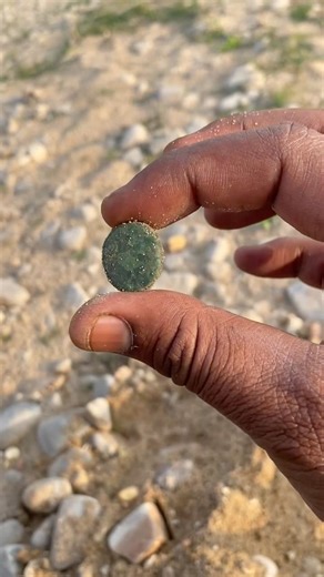 Metal Detector Finds 150 Years Old Coin #MetalDetecting #OldCoin #150YearsOld #shorts #subscribe