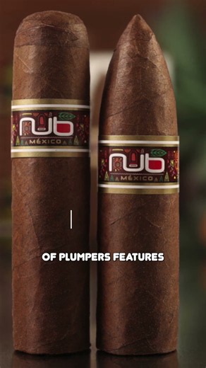 Oliva Expands the NUb Portfolio 🍂
