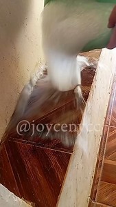 Asmr 🧡🫧 #cleaneating #satisfying #explorar | Joyce Nycc