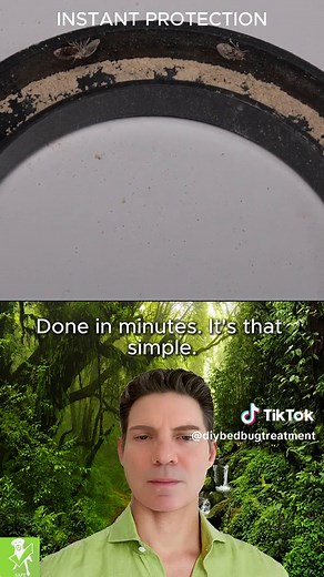 Elimina los chinches con estos 3 simples pasos