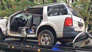 'We are deeply saddened' | City worker killed by falling tree