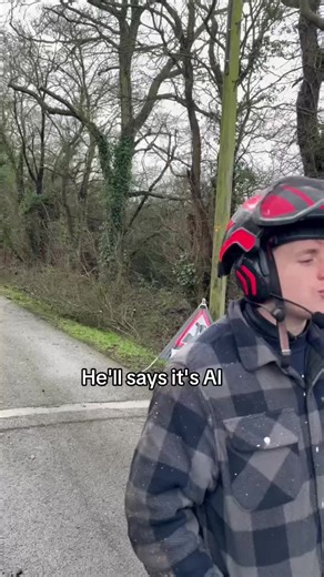 Expert Tree Care Services in Bracknell and Berkshire