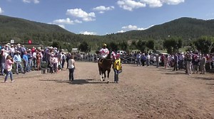 232K views · 3.9K reactions | FINAL All American Futurity (G1) Los Alamitos, 02/09/2019, Distância: 402 metros. Vencedor: Nome: Mr Jess Jenkins Filiação: Apollitical Jess x Fetching Image (Dashing Cleat) Criação: V H Harman Jr / Robert Moudy III Propriedade: Guzman, Jose Ernesto and Sosa, Rito Treinador: Marcos Carrizales Jóquei: James A. Flores Tempo: 21:302 SI 97 | Notícias do Quarto de Milha e PSI | Facebook