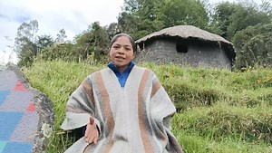 #tasmag #machines | Alpala Chiran Liliana