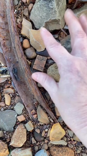 Ivory Mahjong Tile Found During Mudlarking