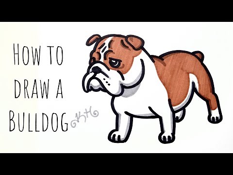 How to draw a Bulldog - easy drawing for beginners