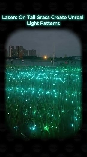 Lasers Turn Grass Into a Light Show