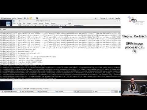 Tutorial: Fiji Multiview Lightsheet Reconstruction Software