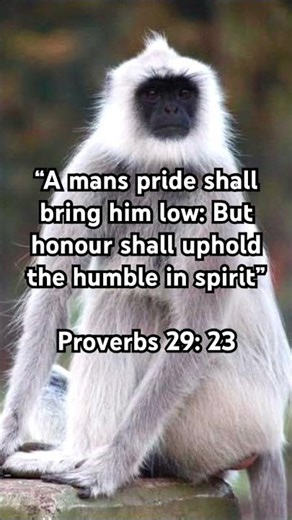 Proverbs 29: 23 #bibleverse #christisking #jesuschrist #jesuslovesyou #thankgod #fearthelord #bible