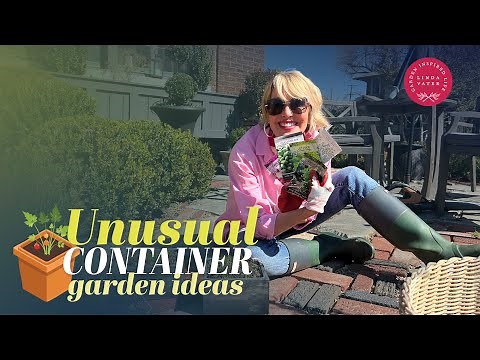 Let’s Try Some Unusual Container Garden Ideas 🪴🪴