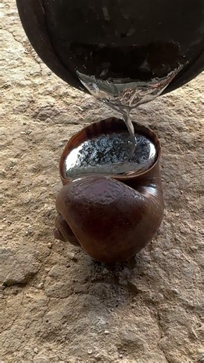 Casting a perfect snail shell from molten scrap metal #recycling #art #shorts