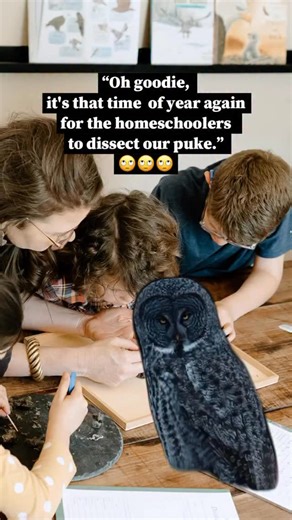 FREEBIE Alert! 🦉 In my homeschool, we value nature study because I want my children to personally relate to and experience the world around them through the natural world. One of the most fascinating topics we’ve explored over the years is the world of birds. My children are particularly interested in raptors, or birds of prey, which is why I included Birds of Prey Week in Treehouse Nature Study. We revisit this topic and activity every year, and my children always find dissecting owl pellets a