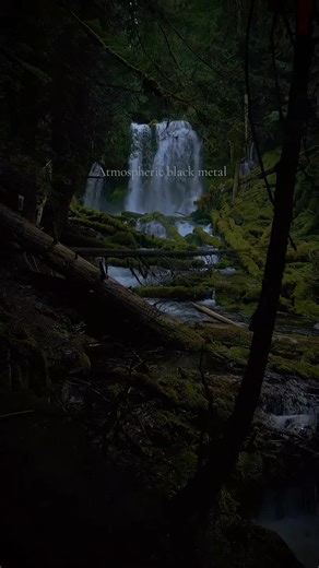 Exploring Atmospheric Black Metal: Nestlé Within