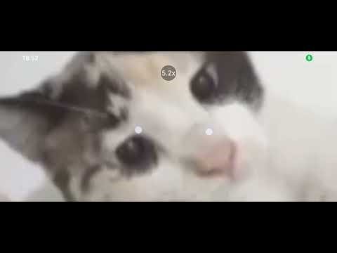 Windows 11 what you did donaldducc gets grounded that its Windows 11 you are grounded go to room now