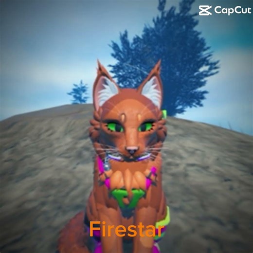 My new warrior cat oc in wca rp Roblox firestar the best I love him.