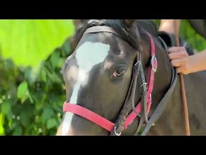 L'esprit de la méthode Blondeau