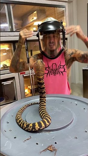 SPITTING COBRA sprayed venom at my face—then almost bit me