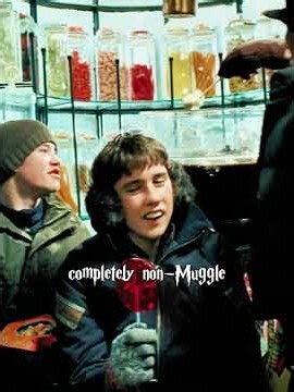 Why Would Wizards Know So Little About Muggles