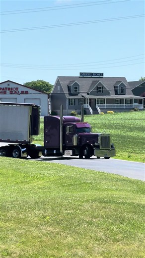 Peterbilt 379 Detroit: Classic Big Rig Showcase
